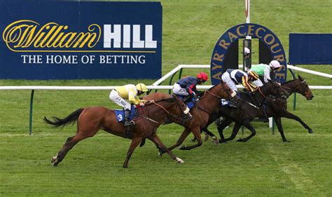 affiliazione william hill|william hill horse racing today.